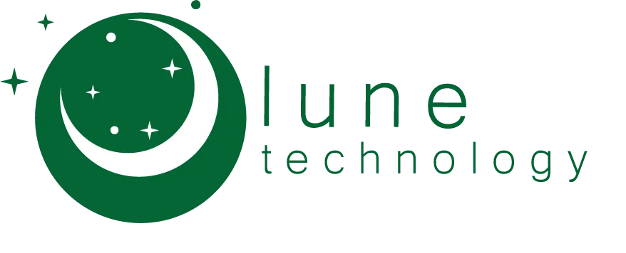 Lune payment management system screenshot